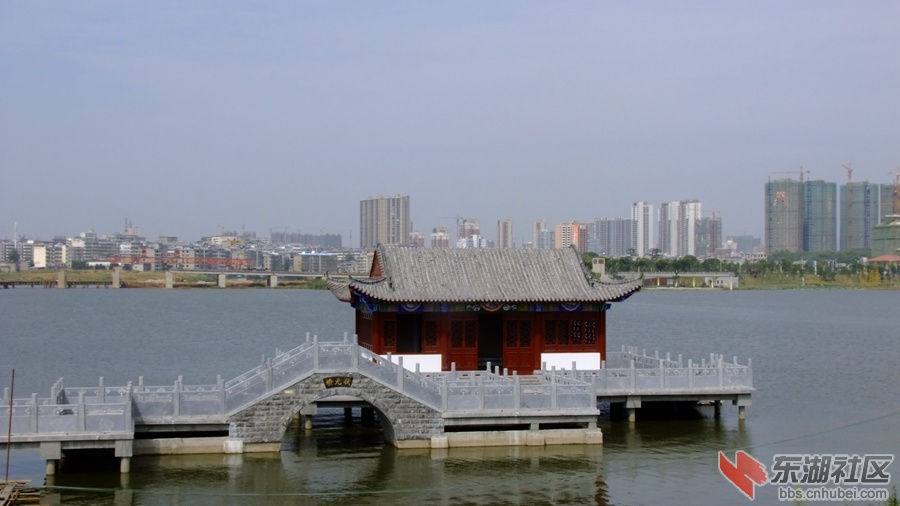 DSCF3550.jpg