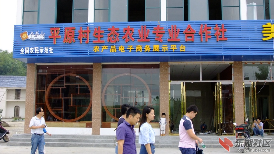 DSCF3315.jpg