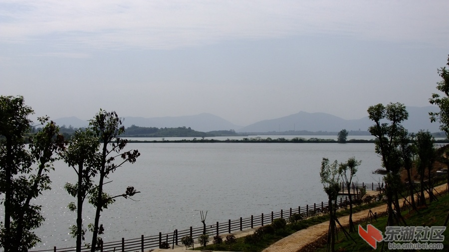 DSCF3527.jpg