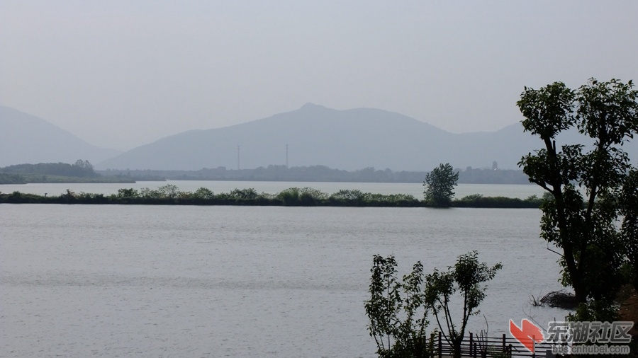 DSCF3528.jpg