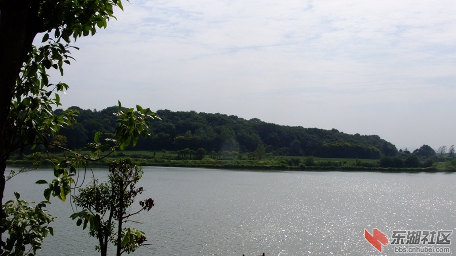 DSCF3526.jpg
