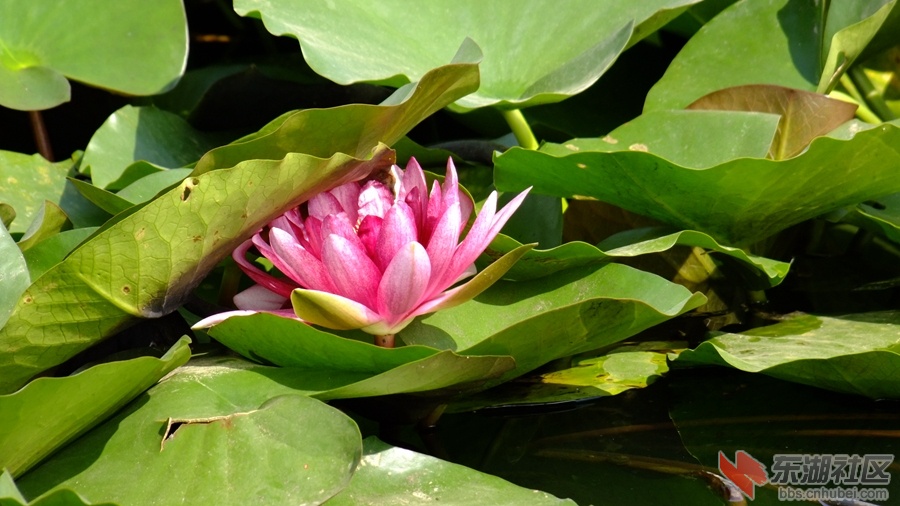 DSCF3538.jpg