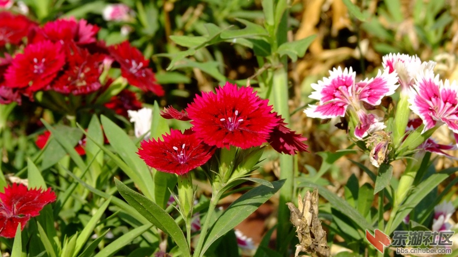 DSCF3539.jpg