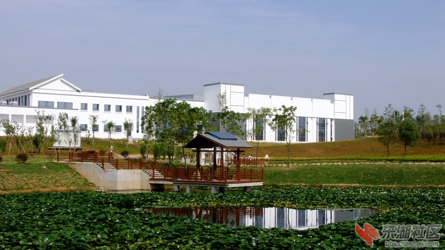 DSCF3531.jpg