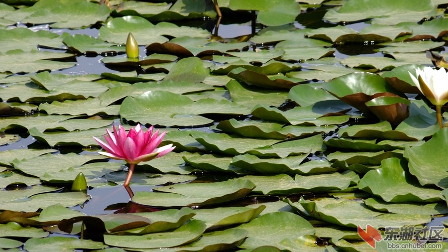 DSCF3535.jpg