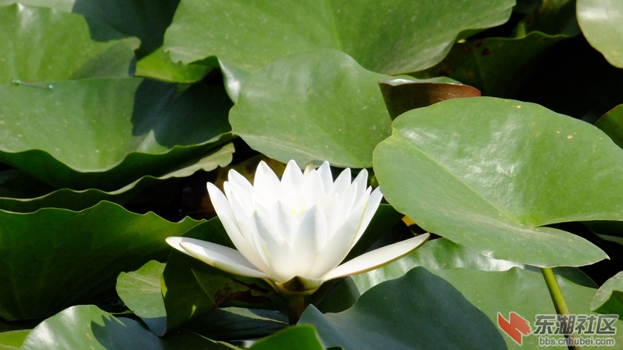 DSCF3536.jpg