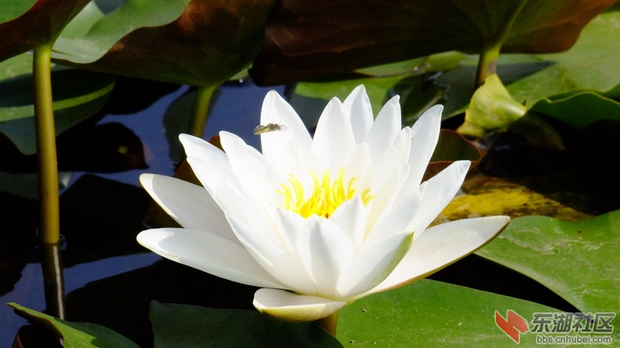 DSCF3537.jpg
