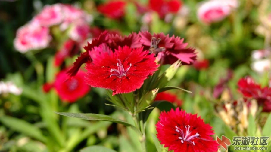 DSCF3541.jpg