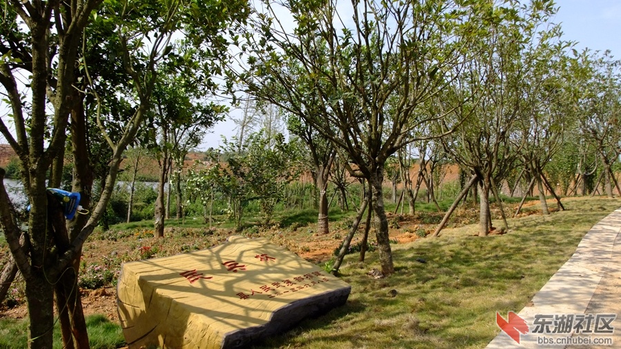 DSCF3543.jpg