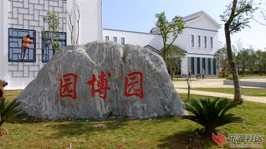DSCF3546.jpg