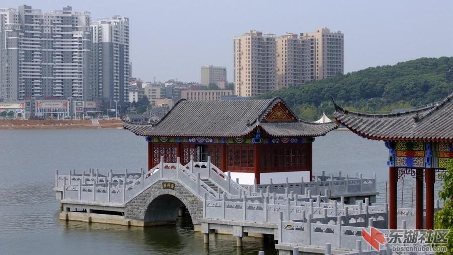 DSCF3548.jpg