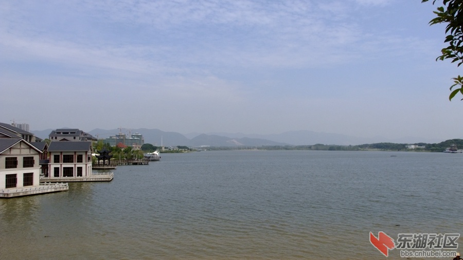 DSCF3574.jpg