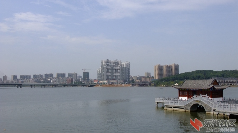 DSCF3557.jpg