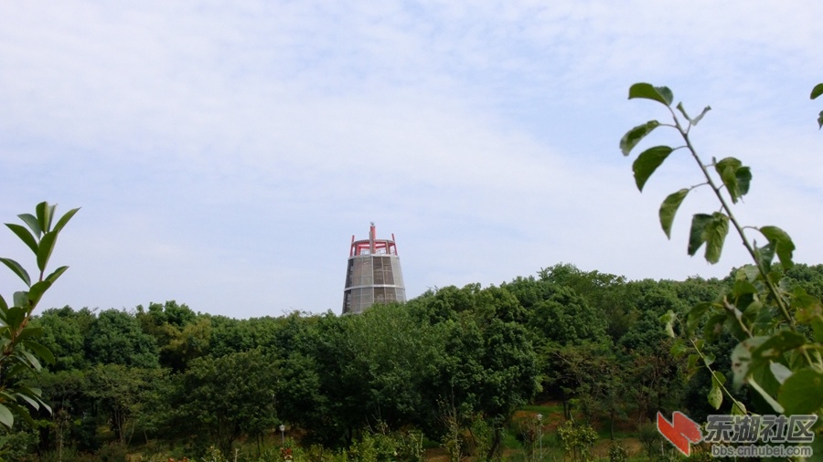 DSCF3558.jpg