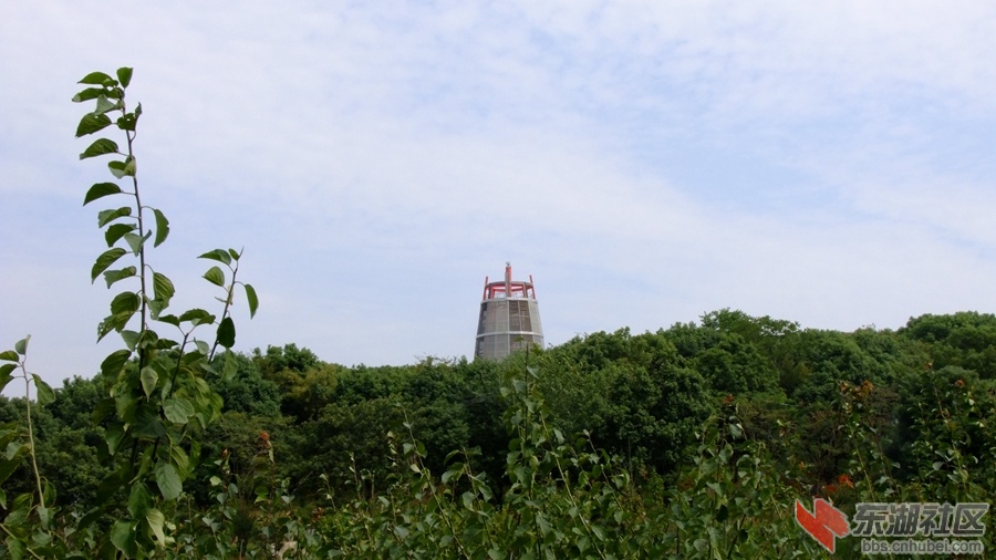 DSCF3559.jpg