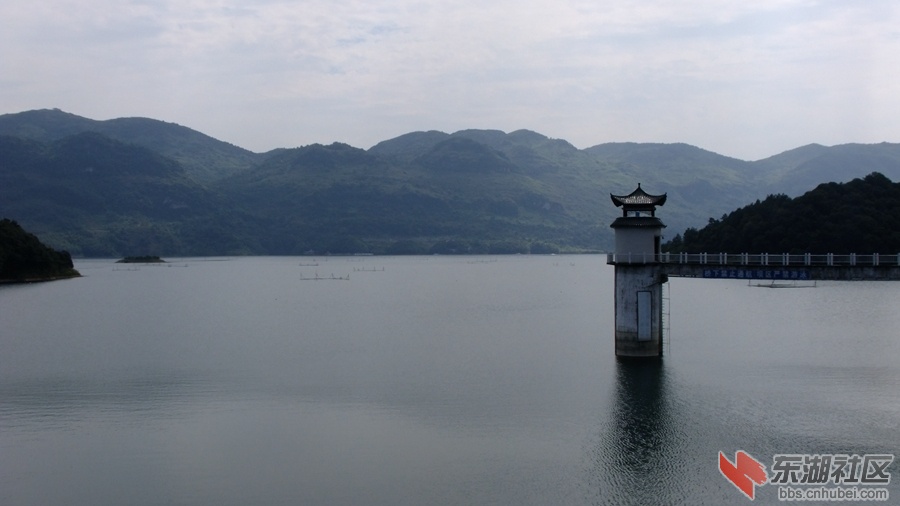 DSCF3595.jpg