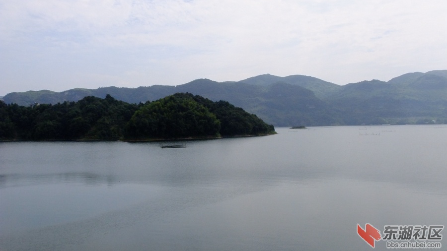 DSCF3596.jpg