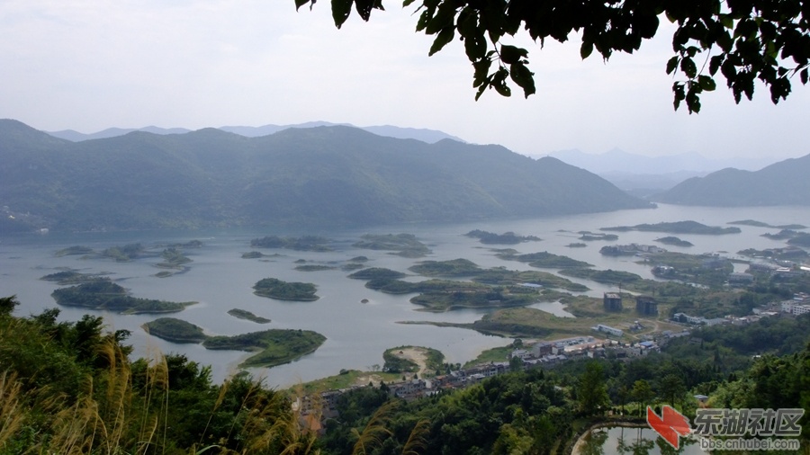 DSCF3597.jpg