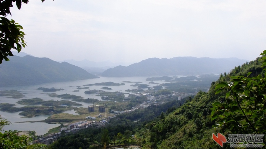 DSCF3600.jpg