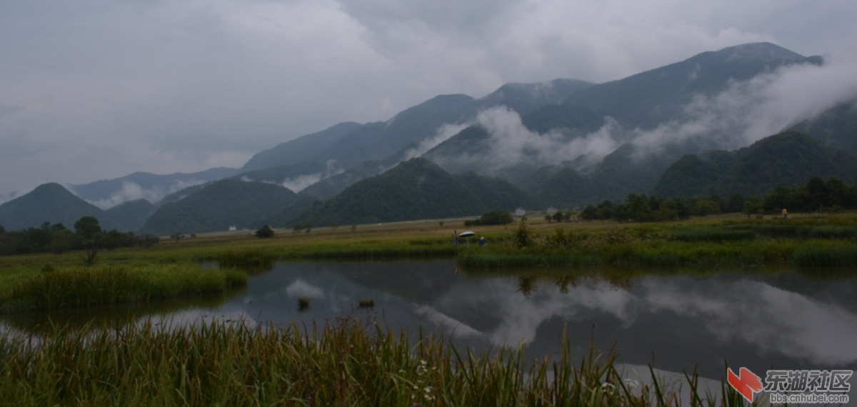 大九湖 (503)_副本.jpg
