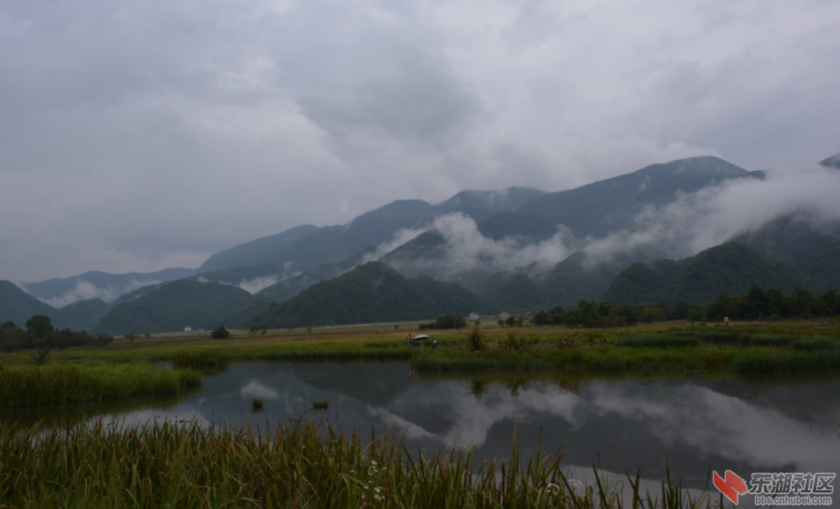 大九湖 (504)_副本.jpg