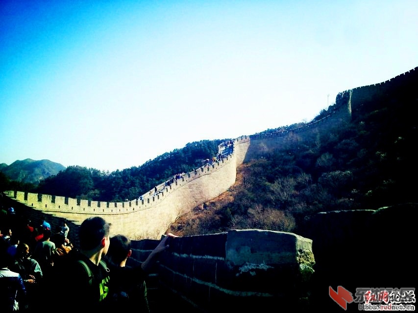 081905juvq89vo8q1zoo6o_副本.jpg