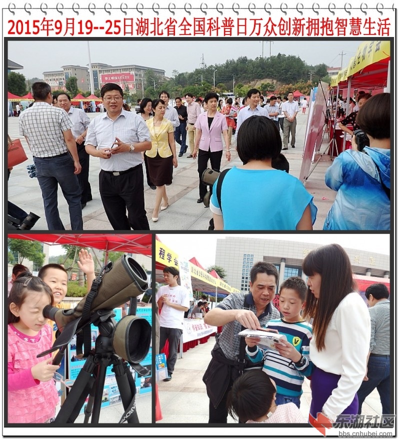 组片.JPG
