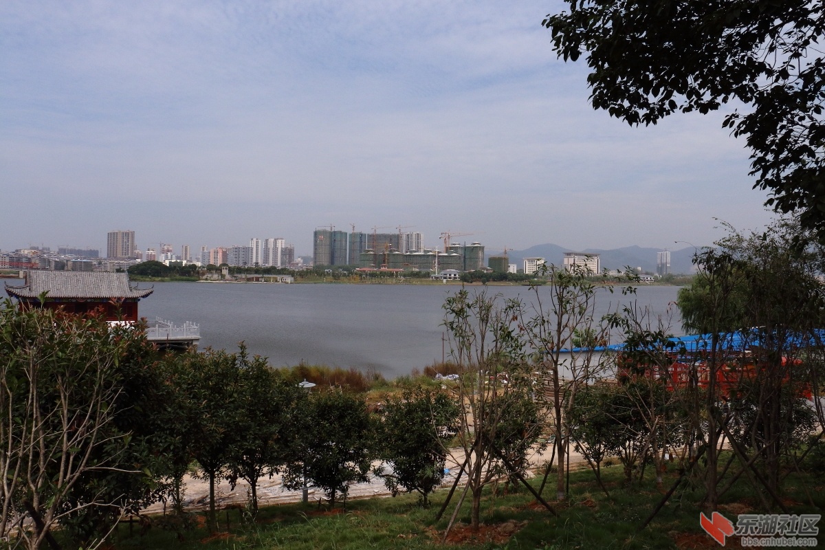 IMG_8222.JPG