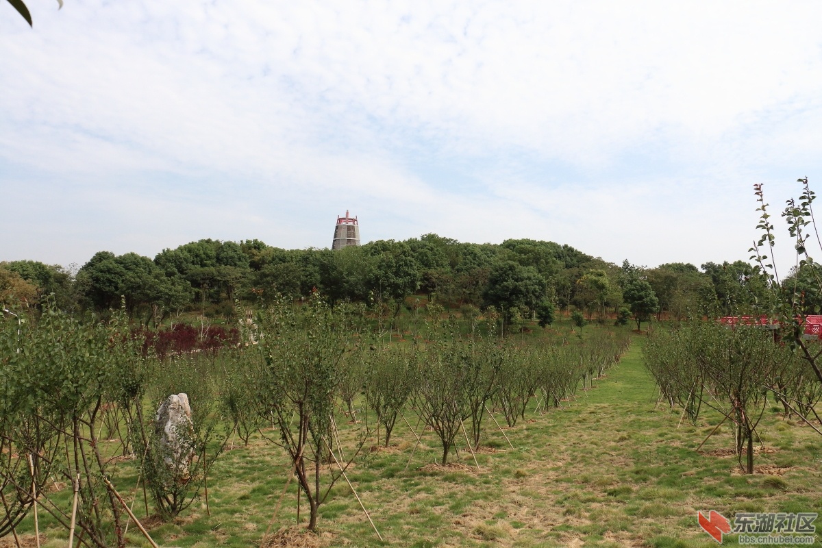IMG_8224.JPG