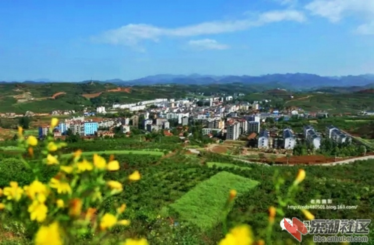习家店.jpg