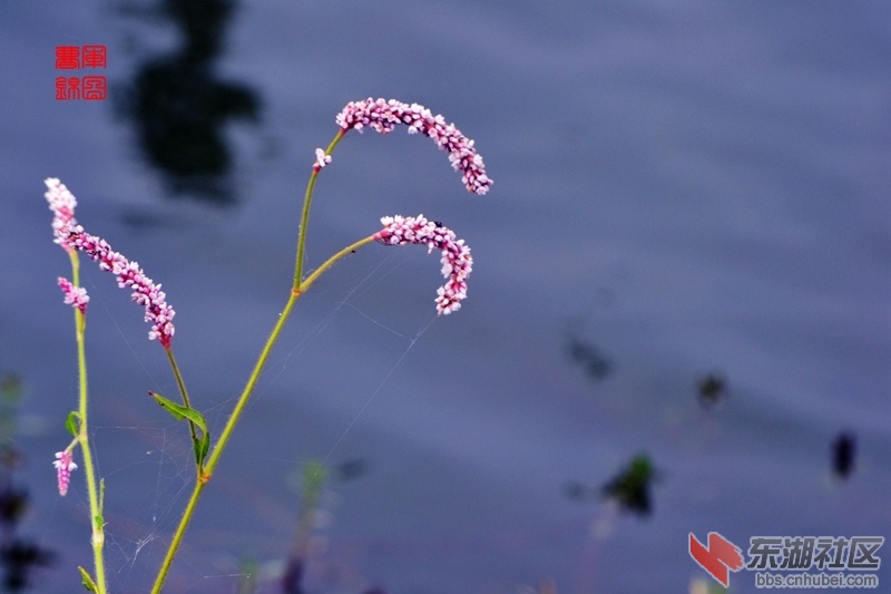 DSC_8302_副本.jpg
