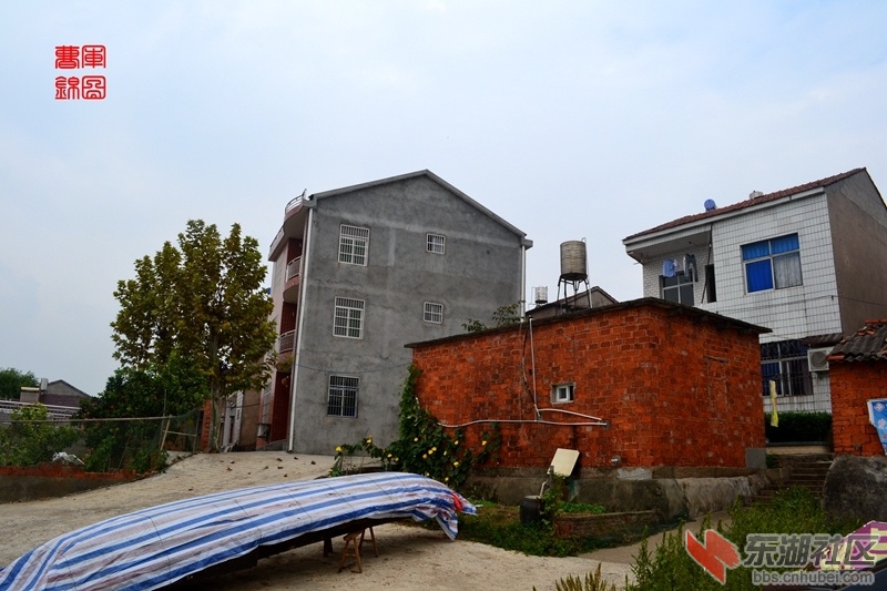 DSC_8201_副本.jpg