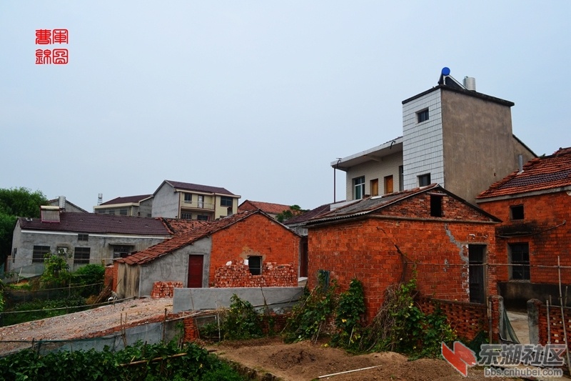 DSC_8450_副本.jpg