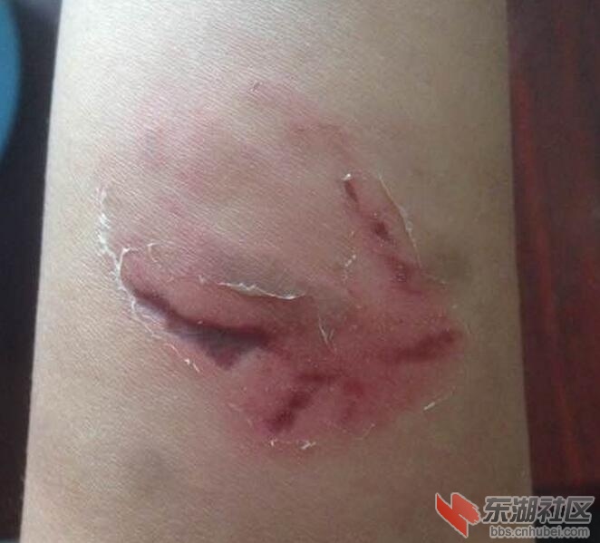 QQ截图20150922215310.jpg