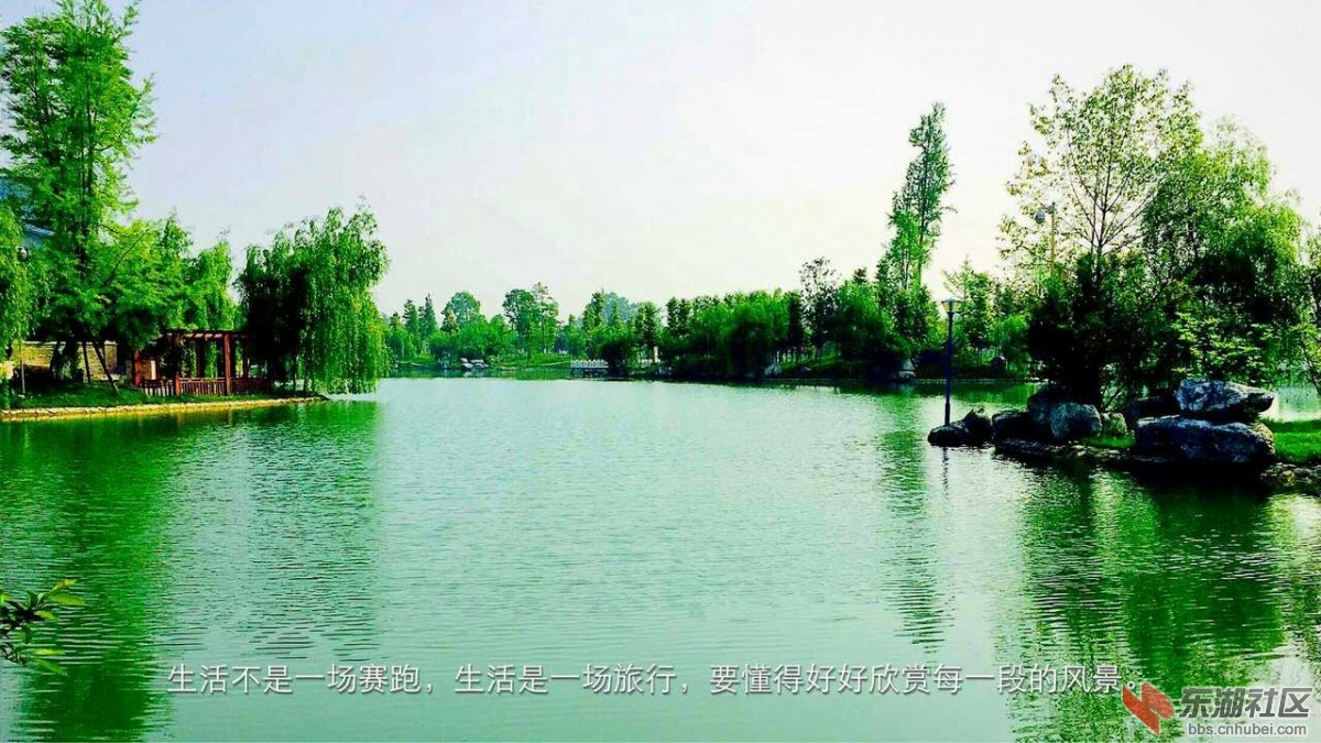 1441072028810.jpg
