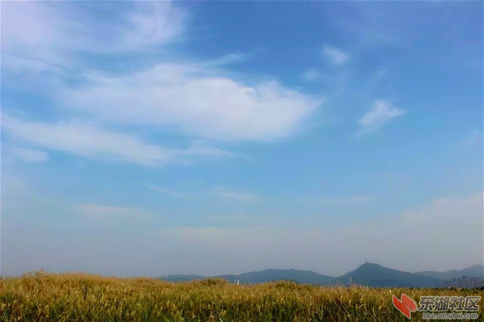psb_meitu_2.jpg
