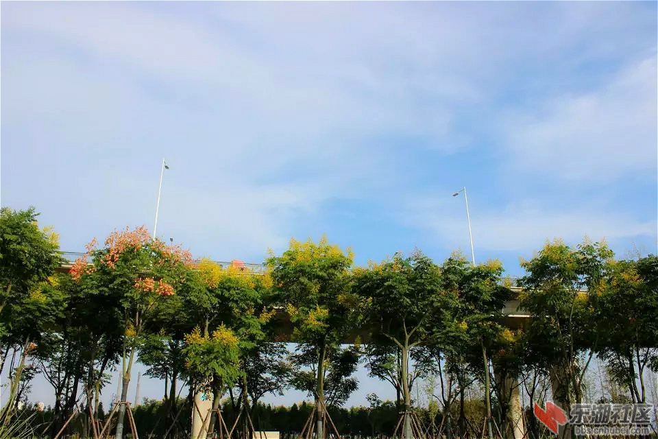 psb_meitu_5.jpg