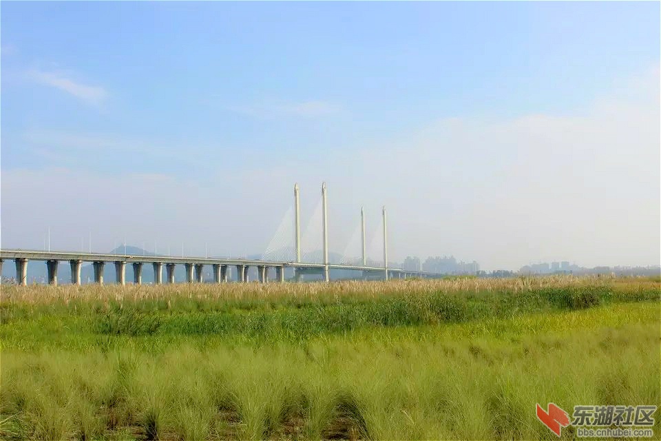 psb_meitu_8.jpg