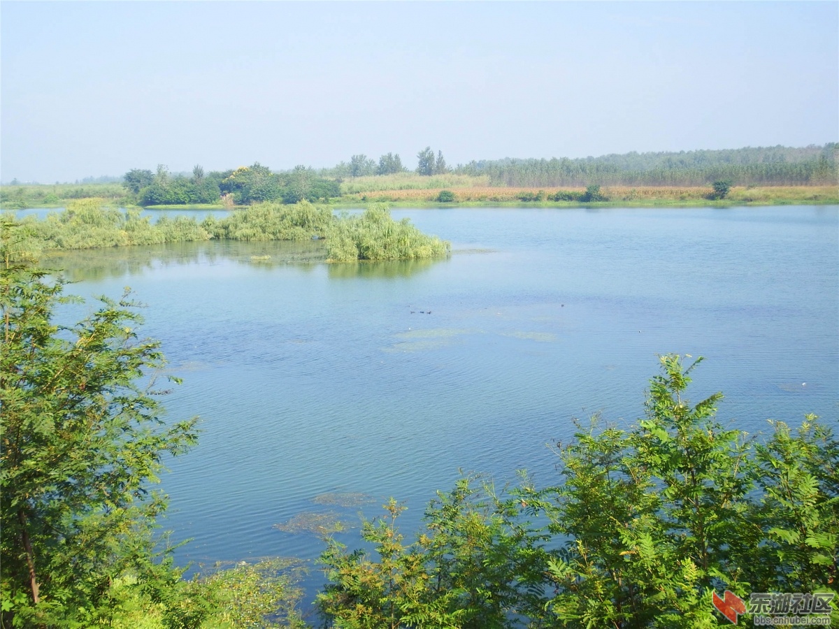 DSCF9546_副本.jpg