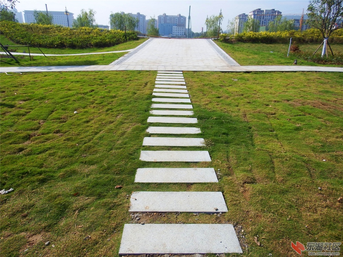 DSCF9550_副本.jpg