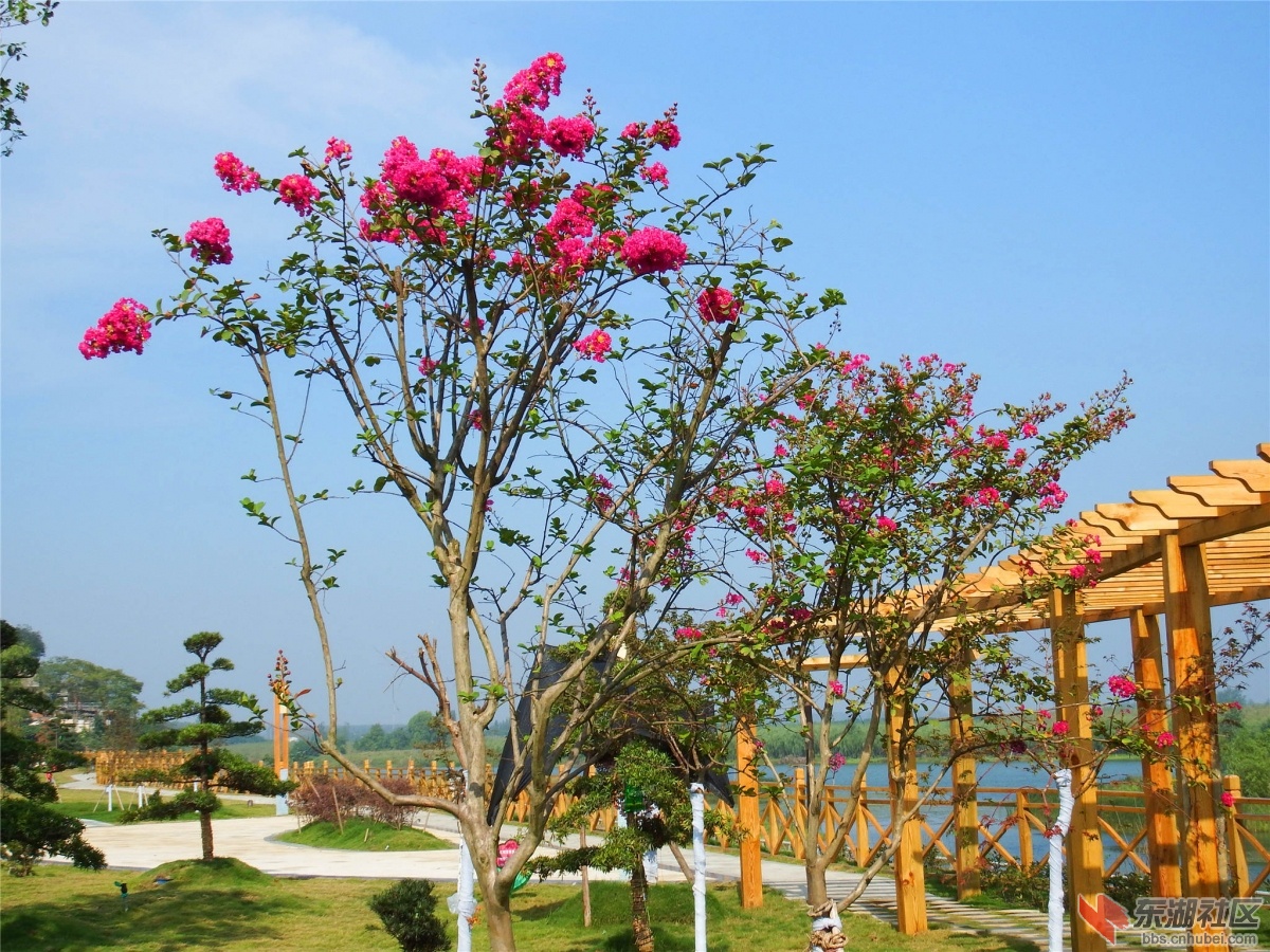 DSCF9561_副本.jpg