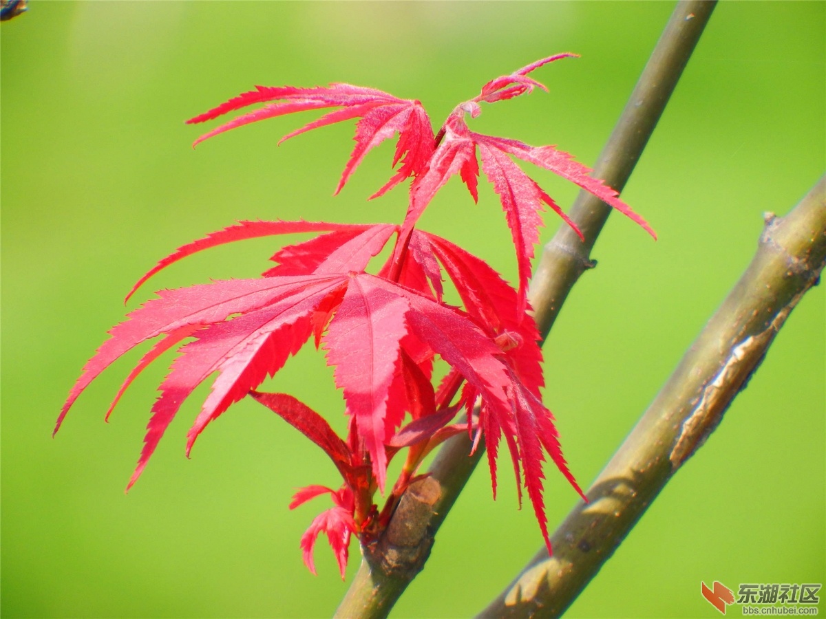 DSCF9564_副本.jpg