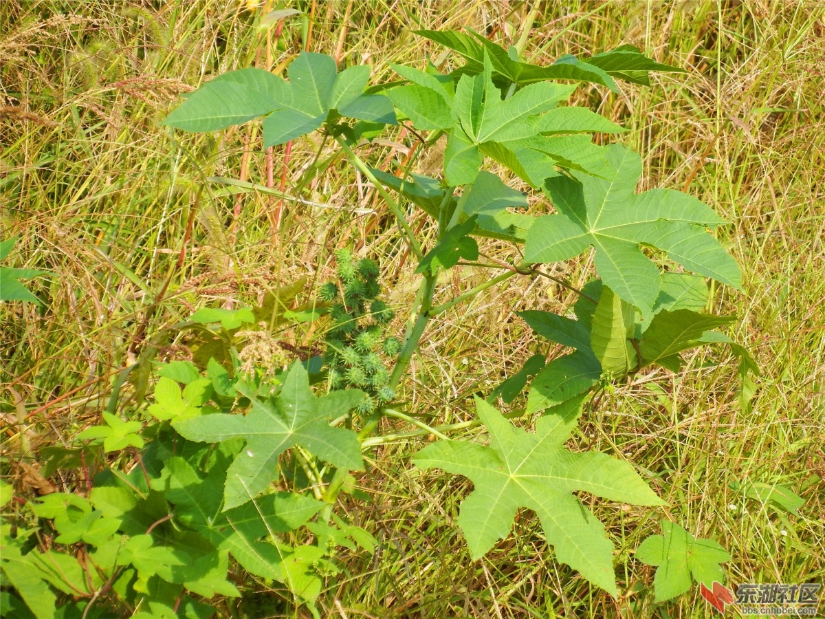 DSCF9572_副本.jpg