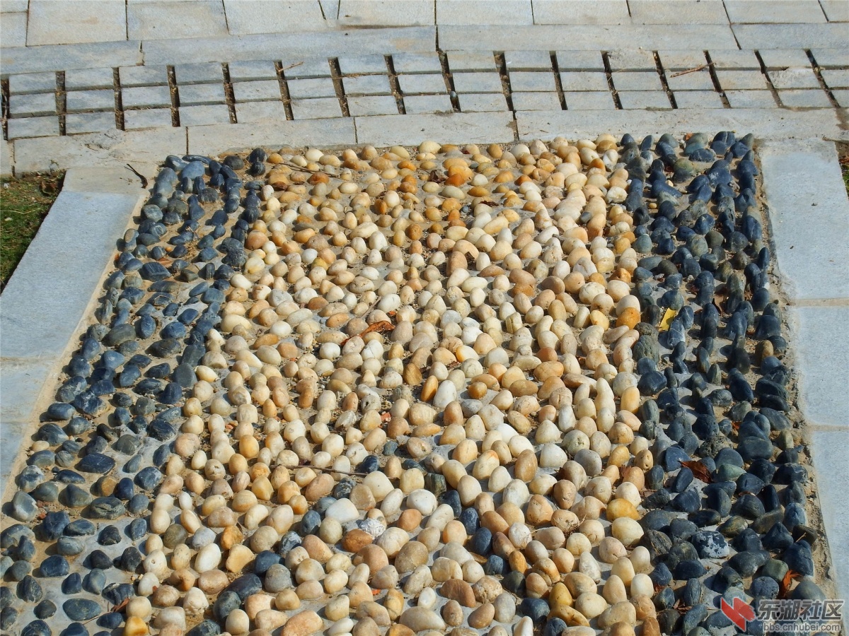 DSCF9583_副本.jpg