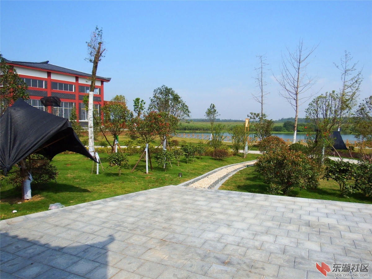 DSCF9584_副本.jpg