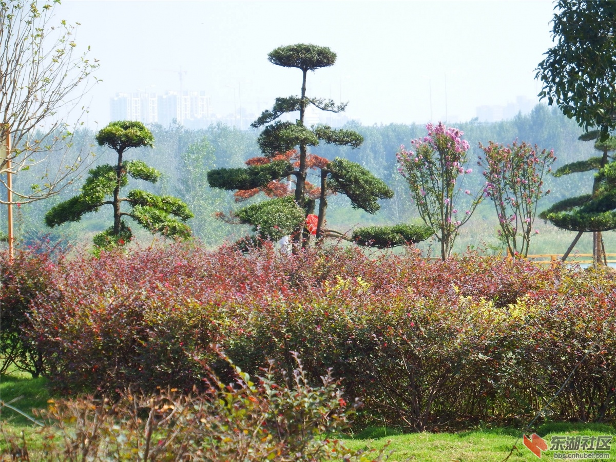 DSCF9588_副本.jpg