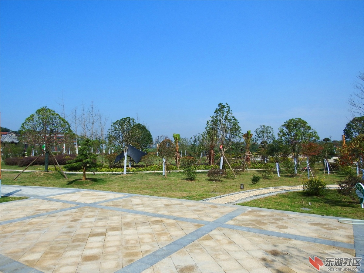 DSCF9590_副本.jpg