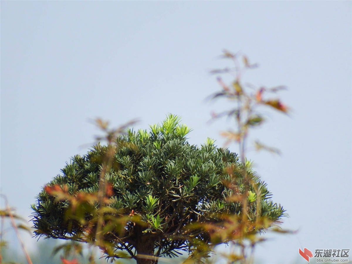 DSCF9594_副本.jpg