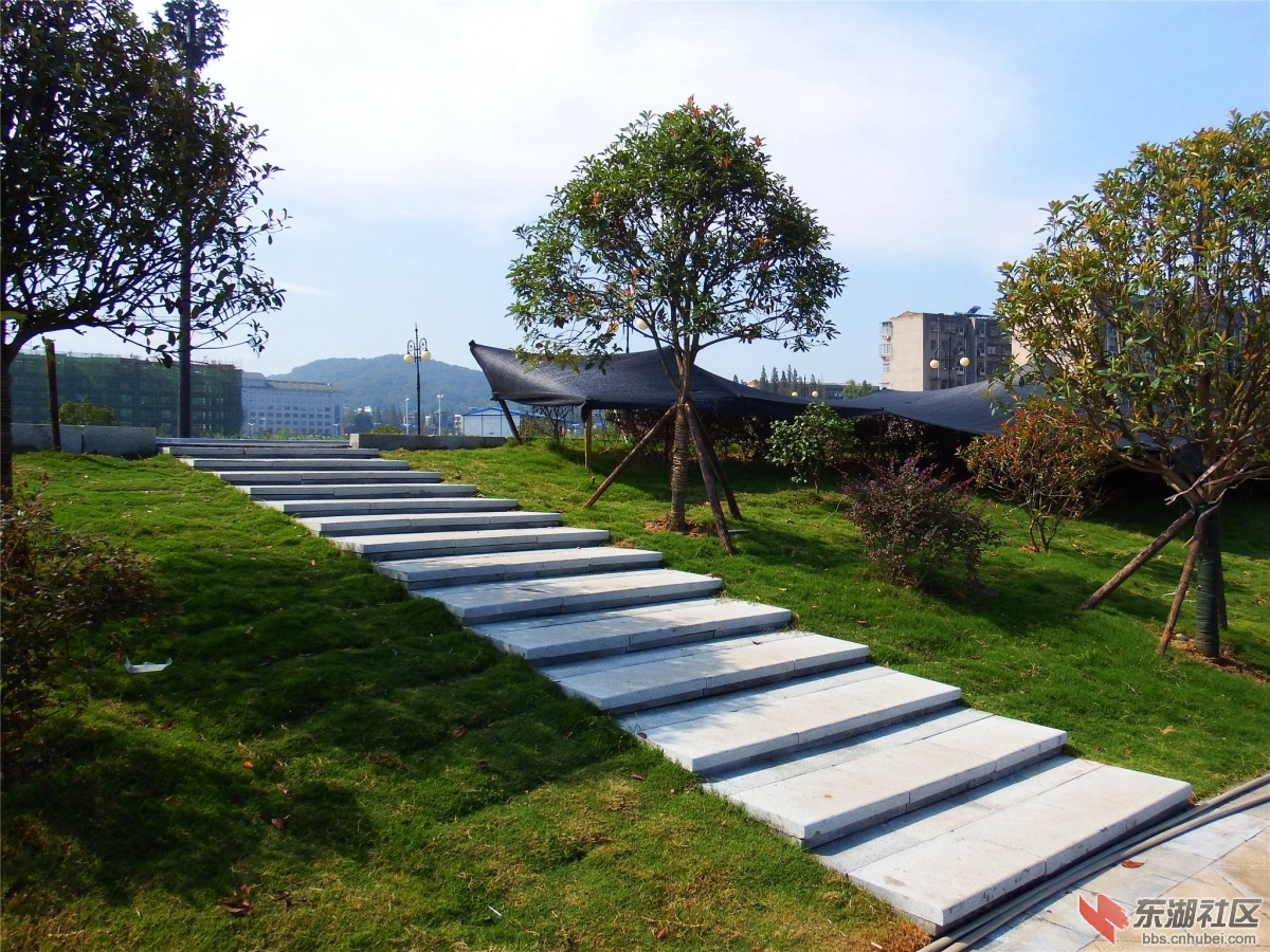 DSCF9596_副本.jpg
