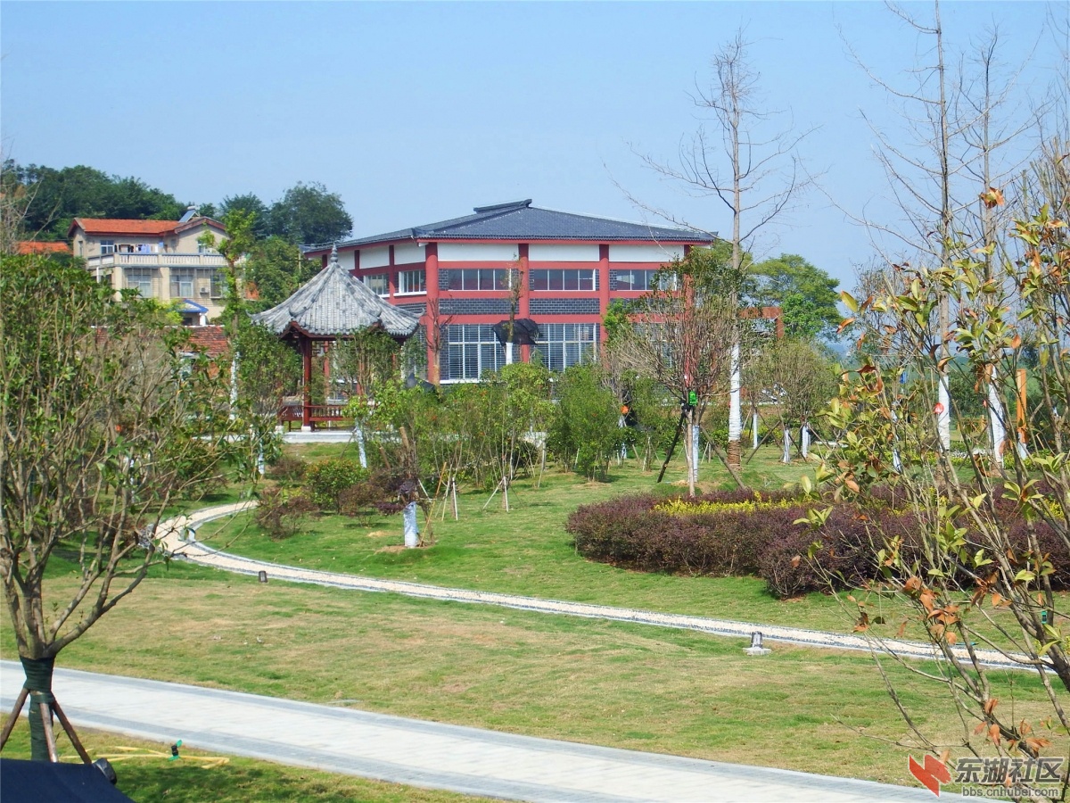DSCF9597_副本.jpg